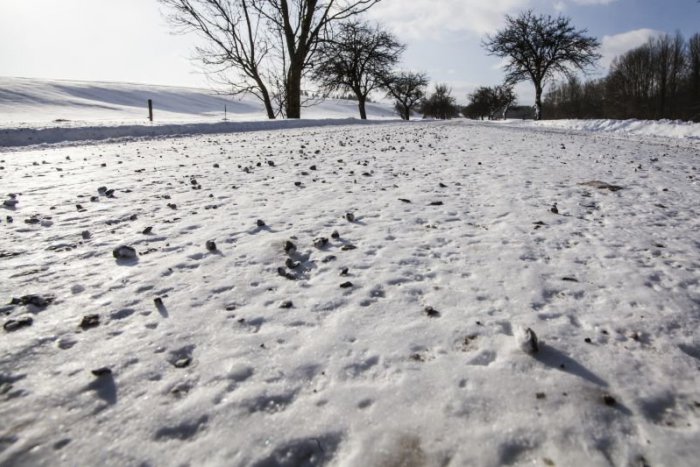 Ilustračný obrázok k článku RANNÁ ŠTVORKA: Fašiangy začínajú mrazivým a chladným počasím, pribudne snehu