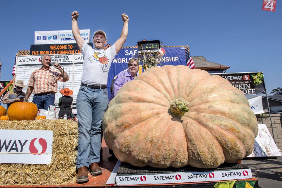 Ilustračný obrázok k článku KURIOZITA DŇA: Majstrovstvá pestovateľov tekvíc v USA, najväčšia mala vyše tony!