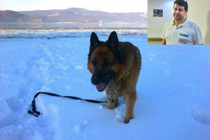 Ilustračný obrázok k článku Michalovský veterinár radí psíčkarom: Informácie, ktoré je dobré cez zimu vedieť!