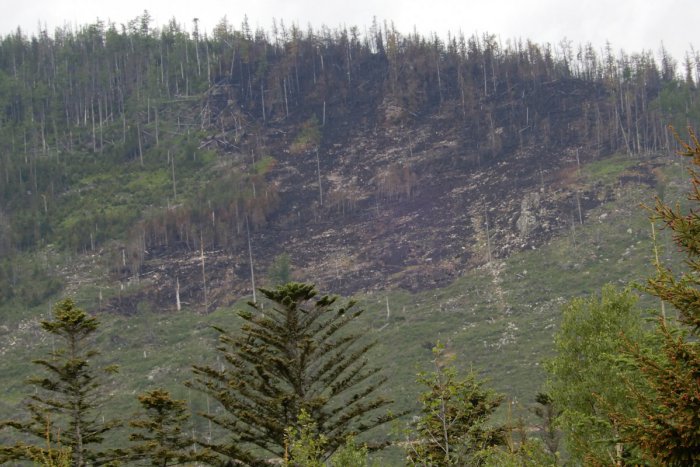 Ilustračný obrázok k článku Požiar lesa v Tatrách spôsobil škody na prírode za viac ako 1,3 milióna eur