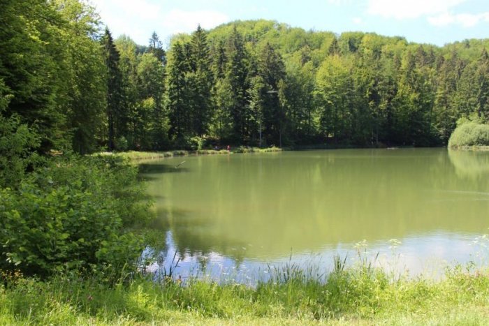 Ilustračný obrázok k článku FOTO: Oáza pokoja v lone prírody. Poznáte Mútne jazero pri Bystrici?