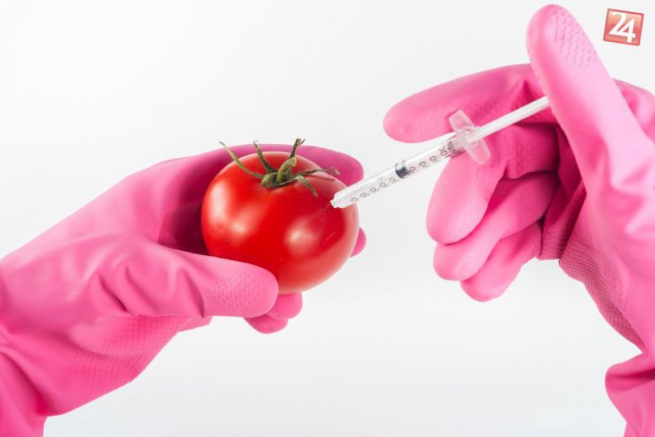 GMO potraviny