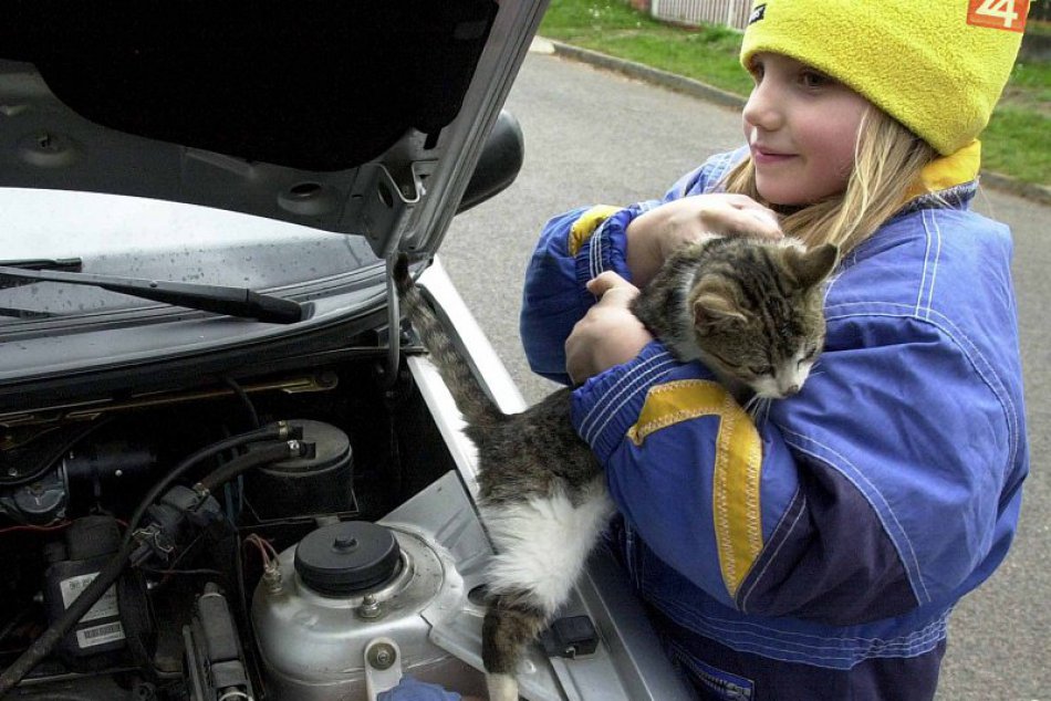 Mačka v motore auta