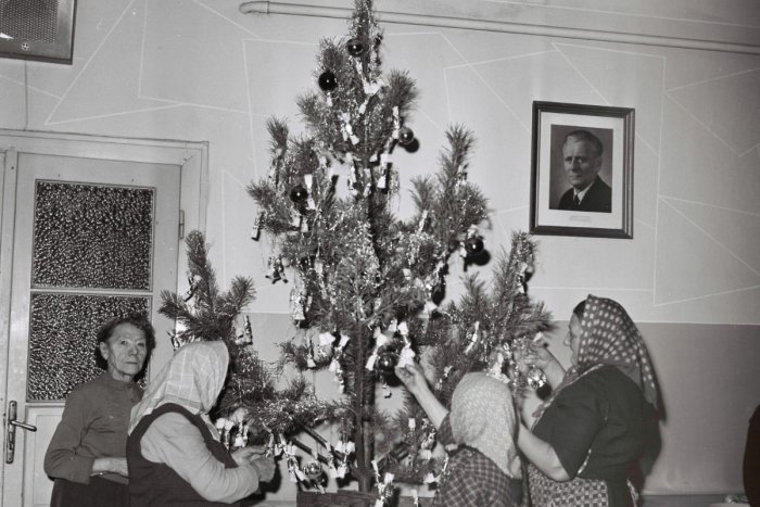 Ilustračný obrázok k článku Unikátne spomienky pani Cilky na Vianoce roku 1954: Prísny pôst a stromček zdobený kockovým cukrom