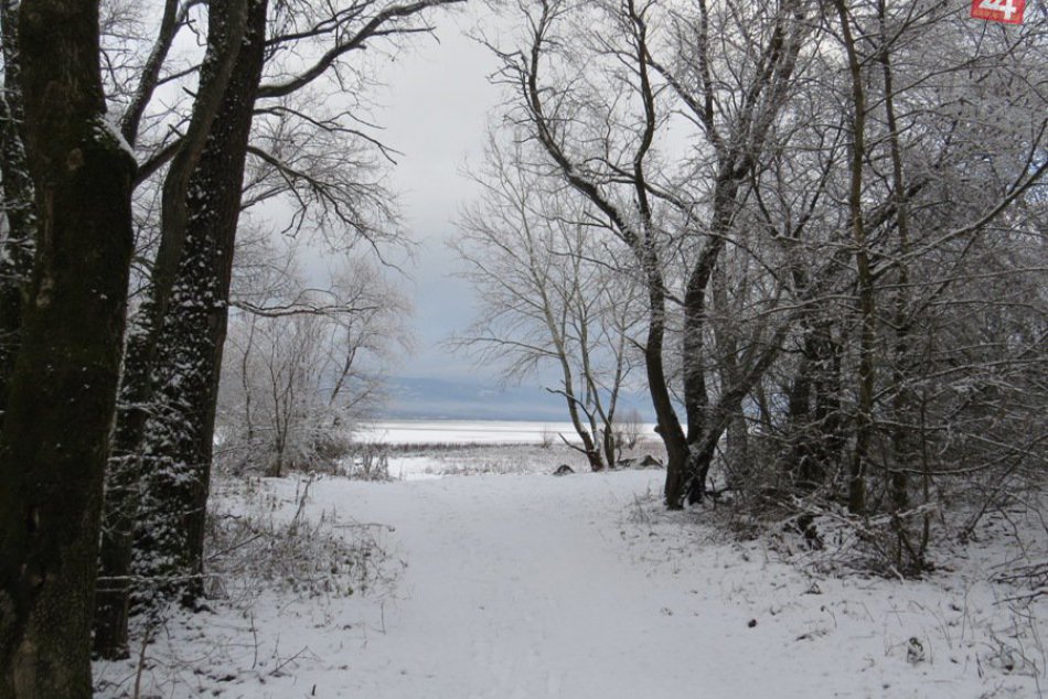 Ilustračný obrázok k článku Zemplínska šírava láka i v zime: Zamrznutá hladina a príroda ako z rozprávky! FOTO