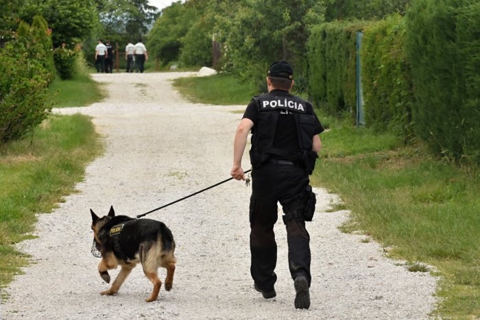Ilustračný obrázok k článku Služobné psy dostali špeciálne čiapky: Polícia skúma ich reakcie na pachové stopy