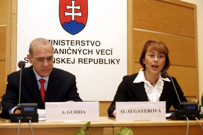 Ilustračný obrázok k článku Úspech slovenskej veľvyslankyne Algayerovej: Zastáva vysokú funkciu OSN v Ženeve