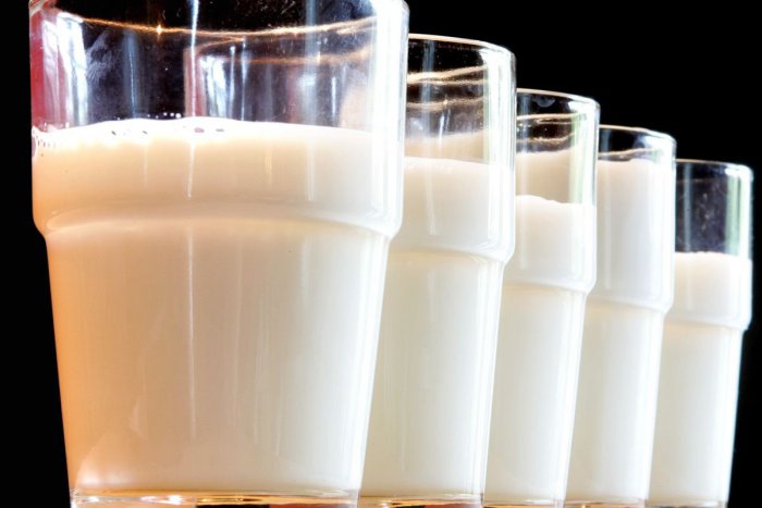 Ilustračný obrázok k článku Milióny jogurtov a tony nátierok: V Nitre spracujú tretinu slovenského mlieka