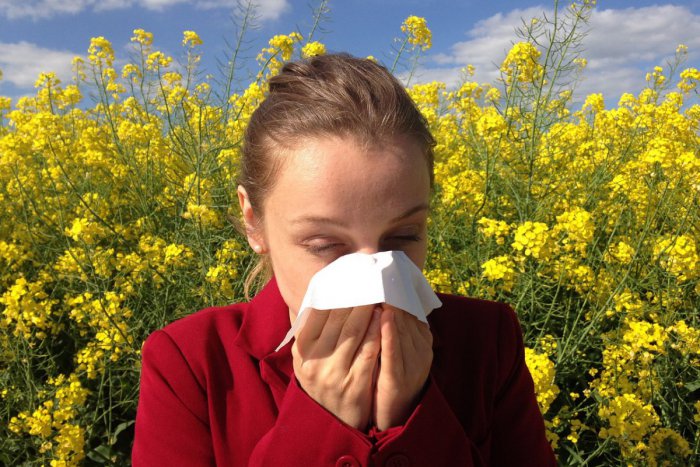 Ilustračný obrázok k článku Alergici, pozor! Podľa odborníkov vás v týchto dňoch nečaká  nič príjemné