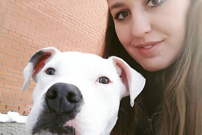 Ilustračný obrázok k článku Novovešťanka a veterinárka Katarína Hanáková: Cenné rady pre psíčkarov na leto
