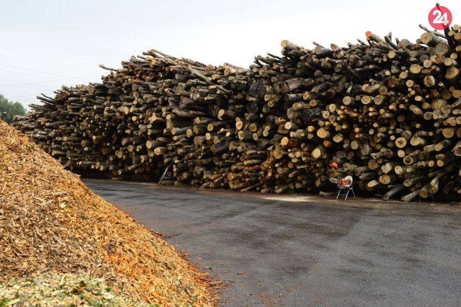Ilustračný obrázok k článku Návrh opozície prešiel: Kvalitné drevo by sa ako biomasa spaľovať nemalo