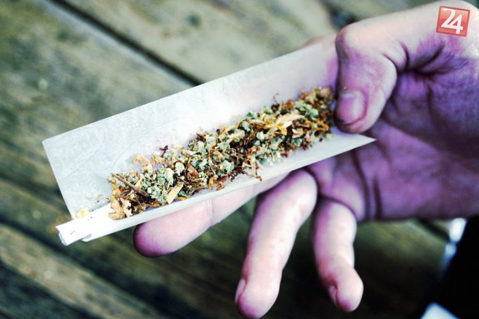 Ilustračný obrázok k článku Teritórium austrálskeho hlavného mesta zlegalizovalo rekreačné užívanie marihuany