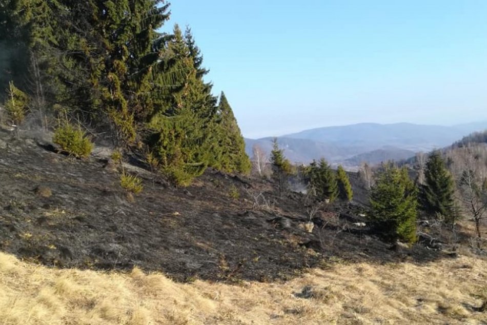 Ilustračný obrázok k článku V Tisovci horí trávnatý porast: S požiarom sa pasujú desiatky hasičov, FOTO