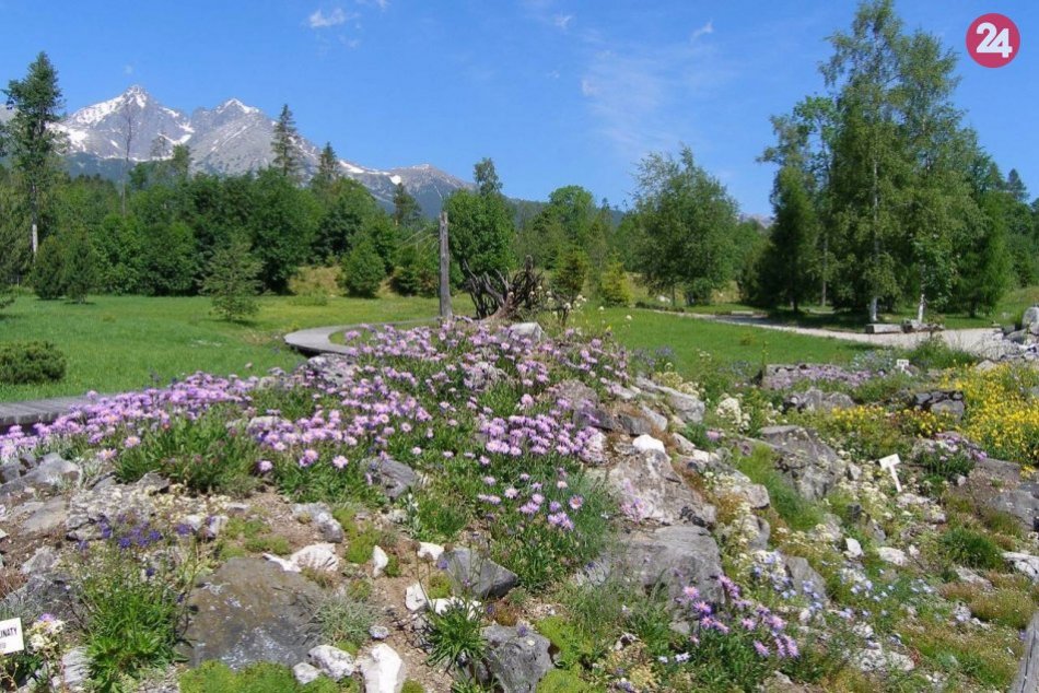 Ilustračný obrázok k článku Botanickú záhradu v Tatranskej Lomnici už zatvorili: V lete ju navštívilo takmer 14 000 ľudí