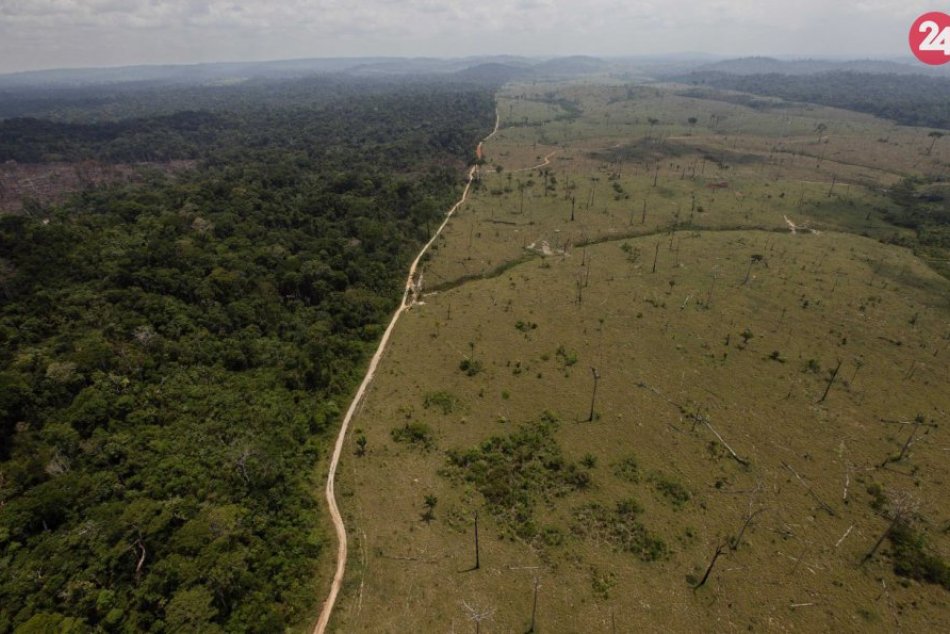 Ilustračný obrázok k článku Amazonský prales mizne priamo pred očami: V júli bolo zničených 2250 kilometrov štvorcových