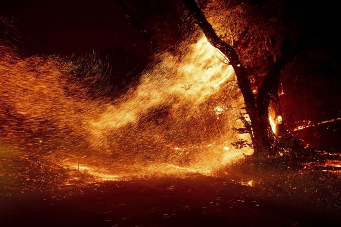 Ilustračný obrázok k článku Východ Austrálie v plameňoch: Krajinu zachvátili rozsiahle prírodné požiare