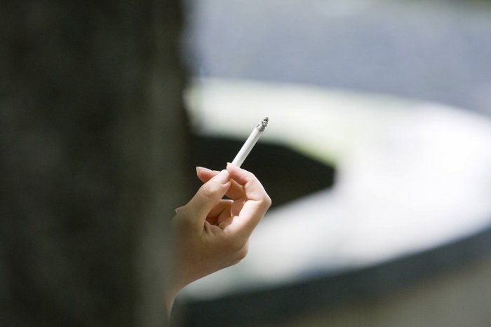 Ilustračný obrázok k článku Česi sa nebabrú: Fajčiarovi na ulici môže polícia dať pokutu do 10-tisíc korún!