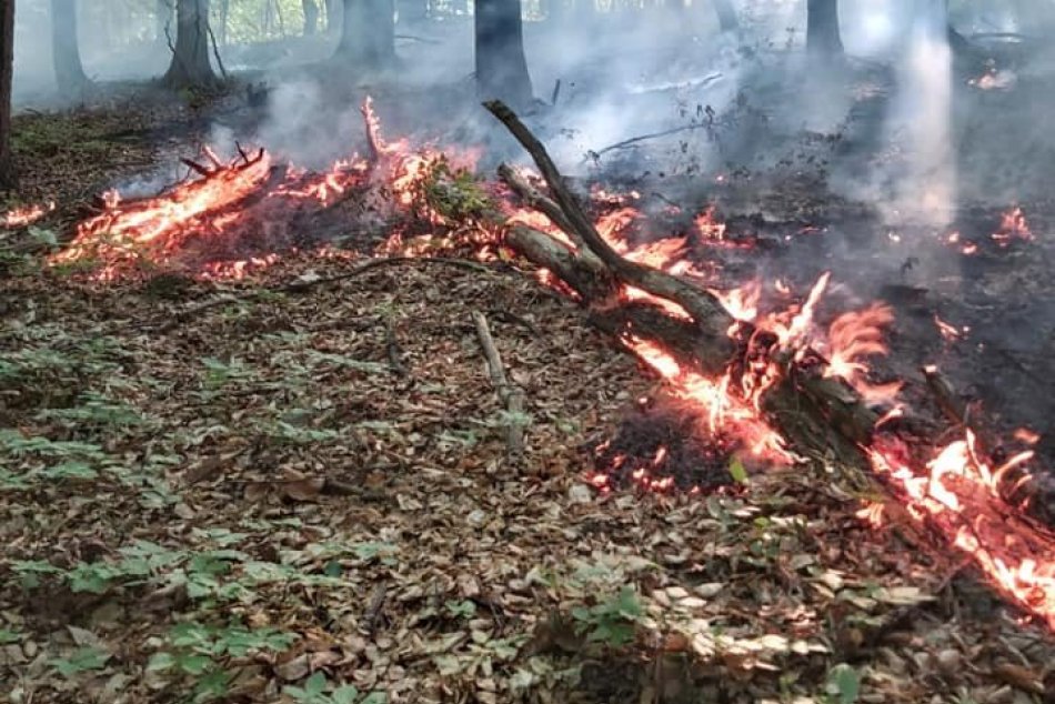Ilustračný obrázok k článku Hasiči zasahovali pri rozsiahlom požiari trávy, vyhľadávajú jeho skryté ohniská