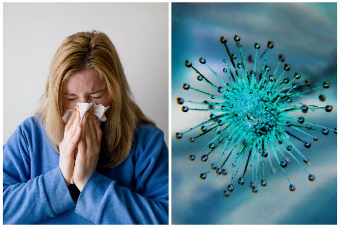 Ilustračný obrázok k článku Varovanie! Kombinácia chrípky a Covid-19 zvyšuje riziko smrti o viac ako polovicu