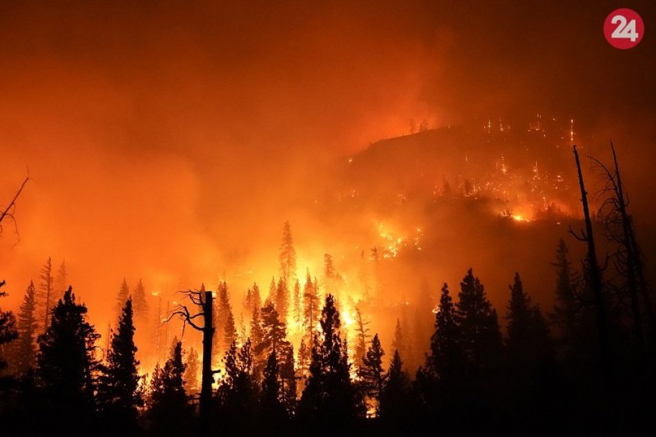Ilustračný obrázok k článku Plamene zachvátili les na juhu Slovenska: Požiar sa šíri až do Maďarska