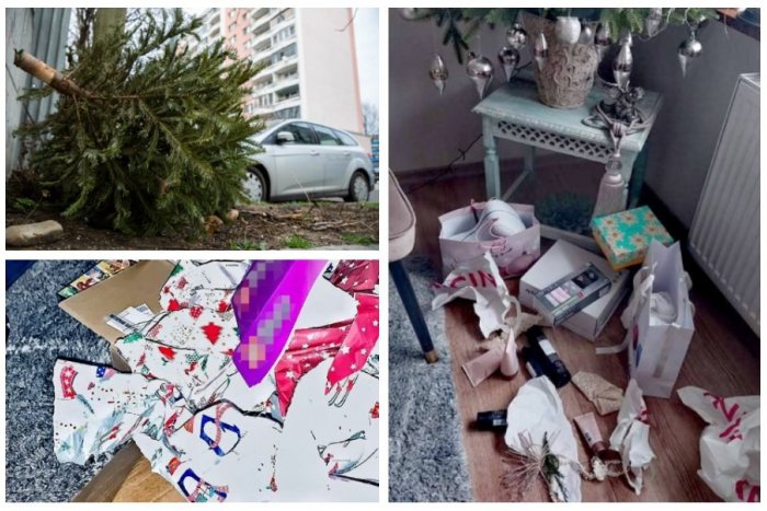 Ilustračný obrázok k článku Ako sa po Vianociach SPRÁVNE zbaviť odpadu: Viete, kam vhodiť žiarovku či stromček?