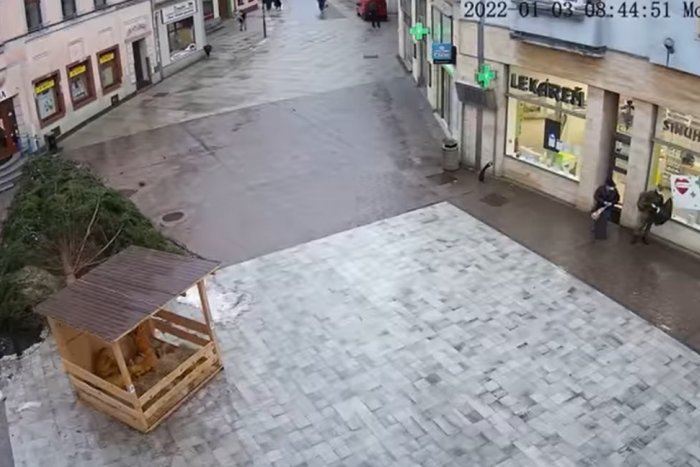 Ilustračný obrázok k článku VIDEO priamo z miesta: V Ružomberku sa zrútil vianočný strom!
