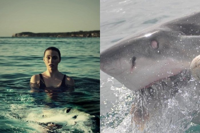 Ilustračný obrázok k článku Experti: Žralok v Egypte sa nesprával normálne! Čo vo vode môže UPÚTAŤ jeho pozornosť?