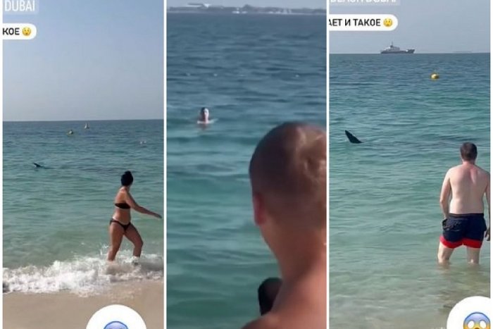 Ilustračný obrázok k článku Mrazivé chvíle v horúcom DUBAJI: ŽRALOK plával len niekoľko metrov od ľudí! VIDEO