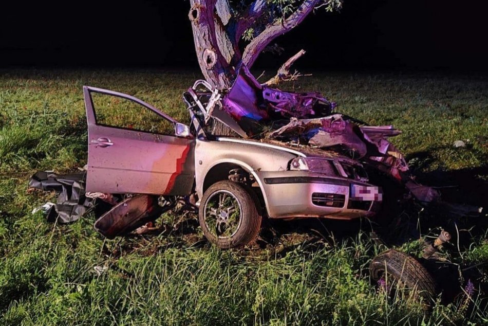 Illustrative image for the article A tragic collision with a tree turned the car into SCRAP: Two young people DIED in the wreck