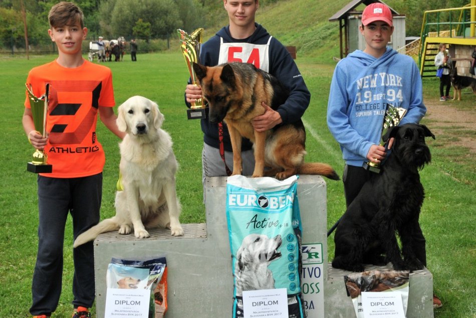 V OBRAZOCH: Dominik so psíkom Gracie žnú úspechy na súťažiach