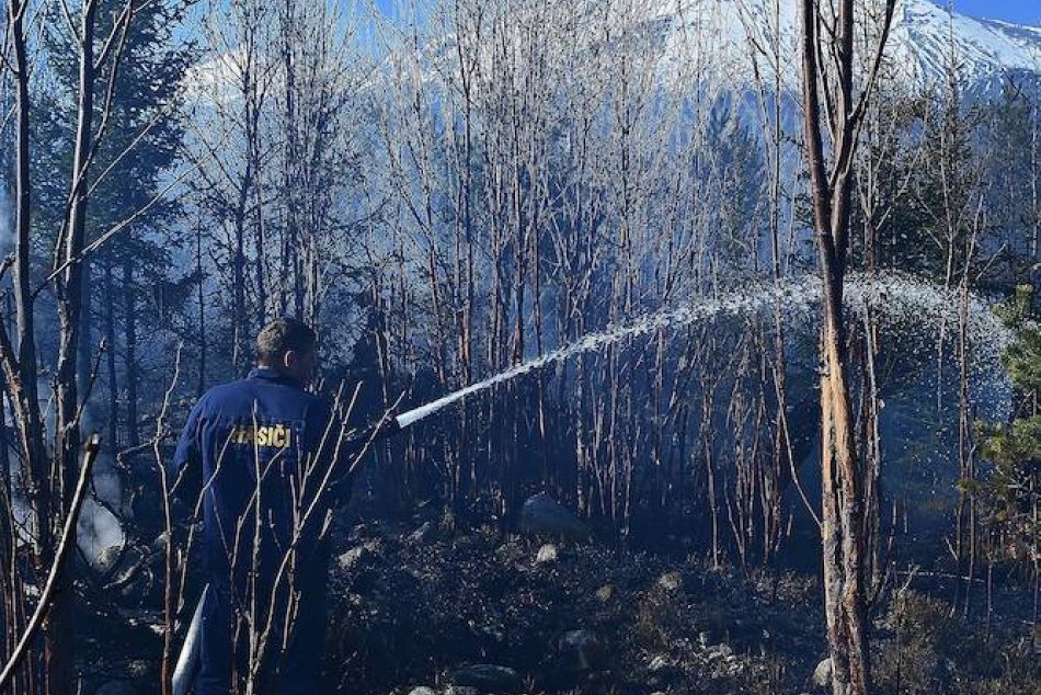 V Tatranských Zruboch horí les: Na mieste zasahujú desiatky hasičov