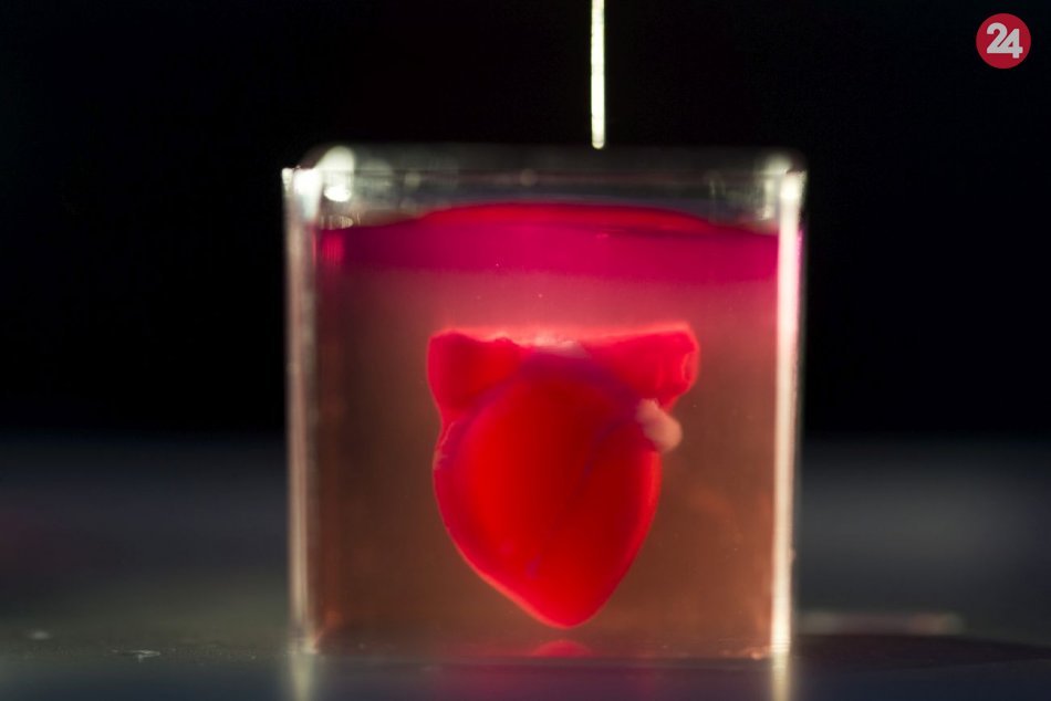 Vedci pomocou 3D tlače vytvorili srdce z tkaniva a ciev