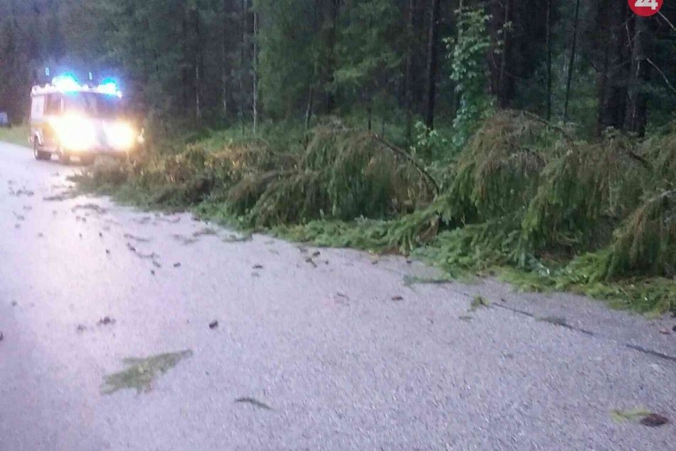 Pre búrky zasahovalo vyše 350 hasičov, odstraňovali najmä popadané stromy